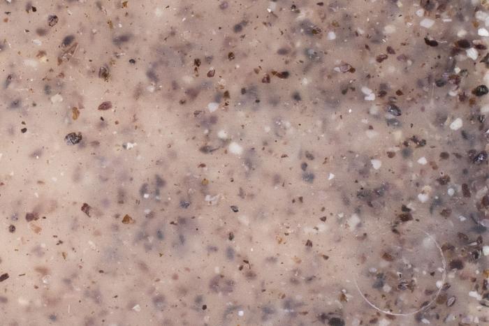 Biocomposite Polypropylène et coproduit coquilles de moule 